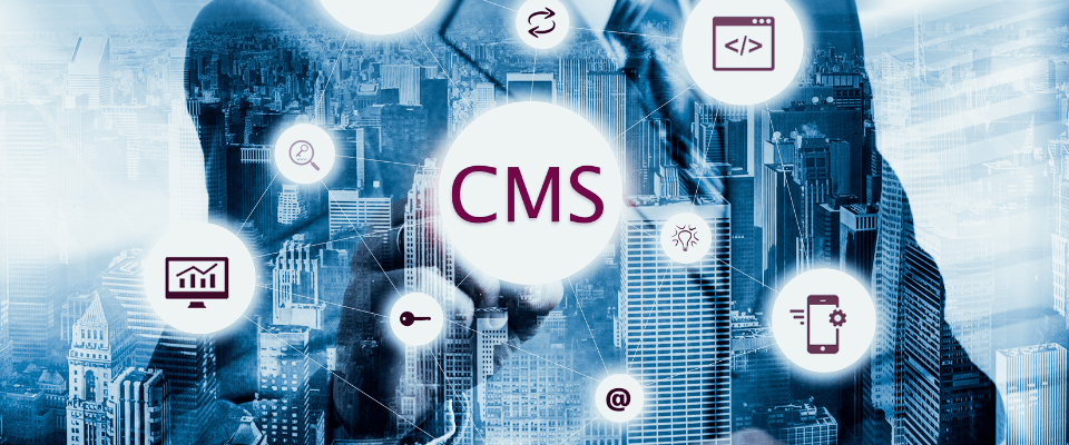 Die besten CMS-Tools für Webentwickler