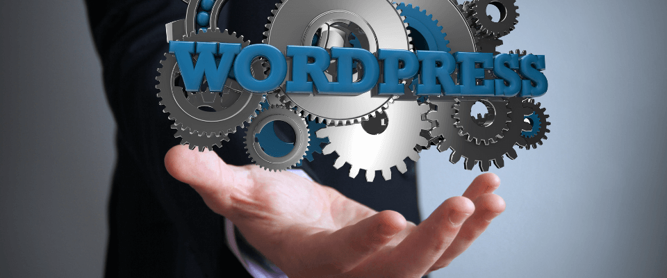 Entwickeln Sie professionelle WordPress Plugins Die ultimative Anleitung